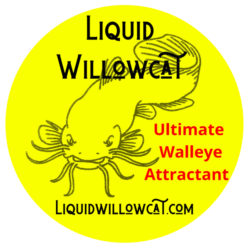 Iiquid willowcat logo