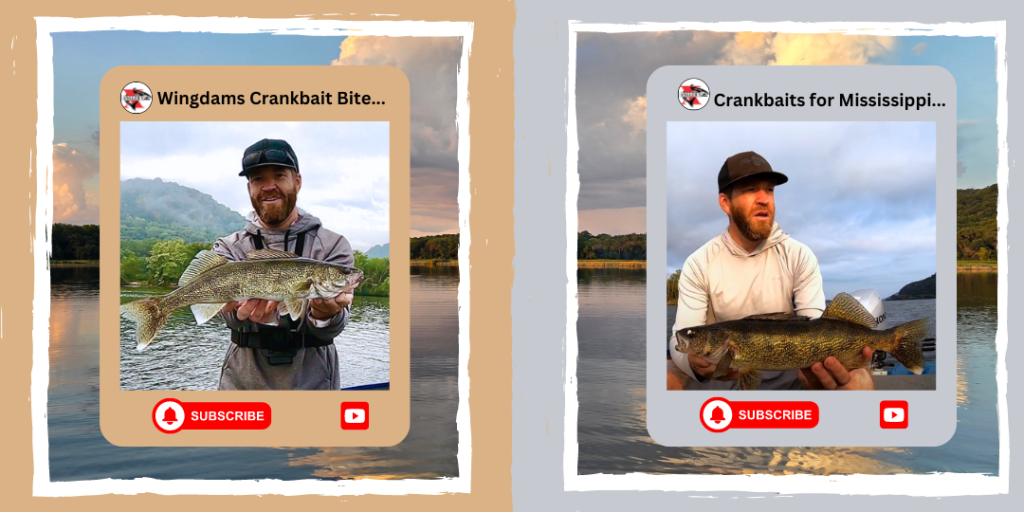 Youtube videos, Wingdams crank bite and crankbaits for mississippi river wingdam walleyes. 