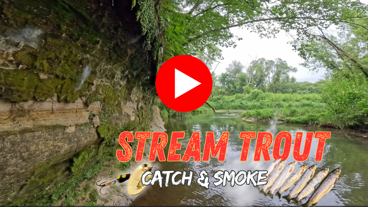 Catch &